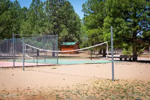 2702 Palomino Trail, Overgaard, AZ 85933 - Photo 46