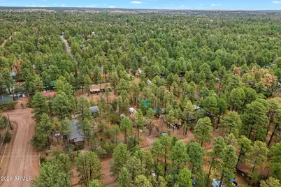 2164 S Woods Drive, Overgaard, AZ 85933 - Photo 28
