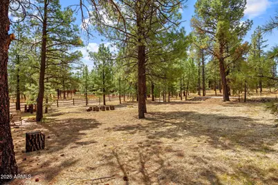 2 Acr 1027 Road, Greer, AZ 85927 - Photo 42