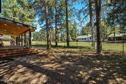 3321 W Old Linden Road, Show Low, AZ 85901 - Photo 28