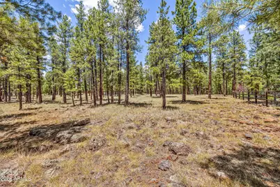 2901 N Creekside Drive, Flagstaff, AZ 86001 - Photo 76