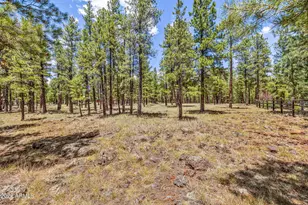 2901 N Creekside Dr, Flagstaff, AZ 86001 - Photo 76