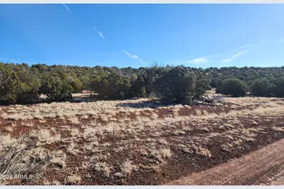 4 County Rd N8715 -- #-, Concho, AZ 85924 - Photo 6
