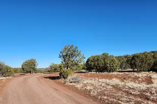 4 County Rd N8715 --, Concho, AZ 85924 - Photo 1