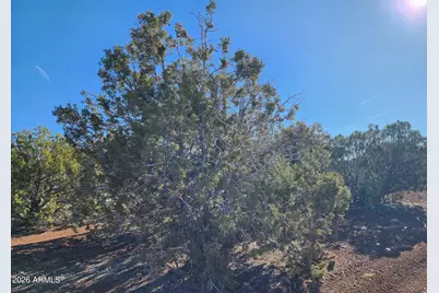 4 County Rd N8715 -- #-, Concho, AZ 85924 - Photo 10