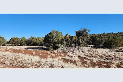 4 County Rd N8715 -- #-, Concho, AZ 85924 - Photo 4