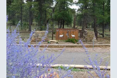4131 Sunset Ridge Loop #-, Happy Jack, AZ 86024 - Photo 2