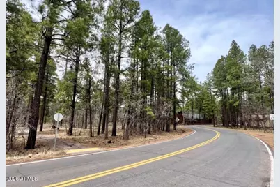 4024 Latigo Way #-, Pinetop, AZ 85929 - Photo 1