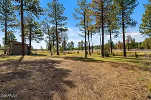 2266 Spitfire Cir, Overgaard, AZ 85933 - Photo 46