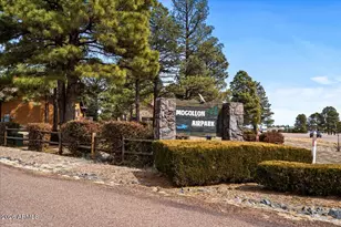 2266 Spitfire Cir, Overgaard, AZ 85933 - Photo 48