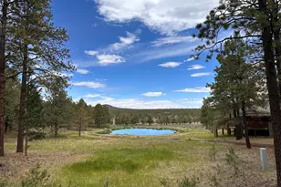 11 County Road N1333 --, Greer, AZ 85927 - Photo 10