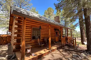 11 County Road N1333 --, Greer, AZ 85927 - Photo 2