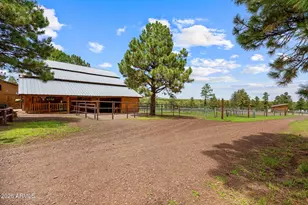 11 County Road N1333 --, Greer, AZ 85927 - Photo 20