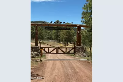 11 County Road N1333 --, Greer, AZ 85927 - Photo 8