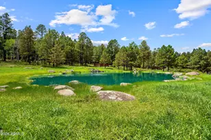 11 County Road N1333 --, Greer, AZ 85927 - Photo 18