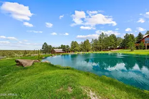 11 County Road N1333 --, Greer, AZ 85927 - Photo 24