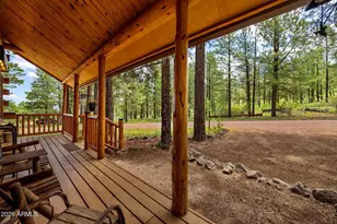 11 County Road N1333 --, Greer, AZ 85927 - Photo 4