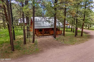 11 County Road N1333 --, Greer, AZ 85927 - Photo 2