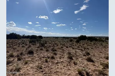 Tbd County Rd N7207 -- #-, Saint Johns, AZ 85936 - Photo 2