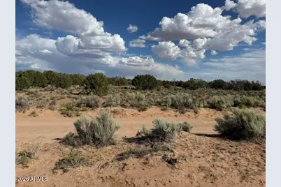 Tbd County Rd N7207 -- #-, Saint Johns, AZ 85936 - Photo 6