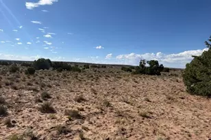 Tbd County Rd N7207 --, Saint Johns, AZ 85936 - Photo 1