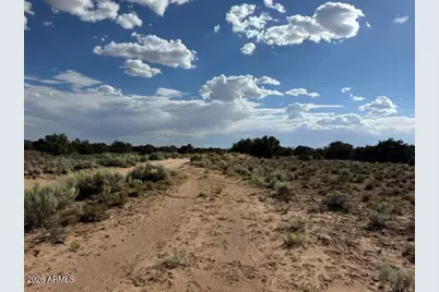 Tbd County Rd N7207 -- #-, Saint Johns, AZ 85936 - Photo 10