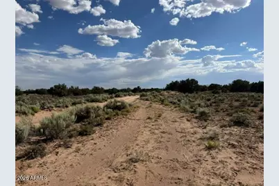 Tbd County Rd N7207 -- #-, Saint Johns, AZ 85936 - Photo 4