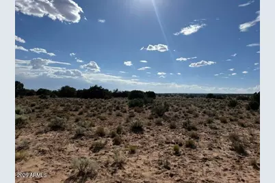 Tbd County Rd N7207 -- #-, Saint Johns, AZ 85936 - Photo 12
