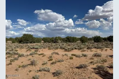 Tbd County Rd N7207 -- #-, Saint Johns, AZ 85936 - Photo 16