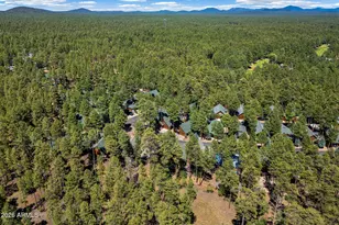 2964 Timber Line Rd, Pinetop, AZ 85935 - Photo 32