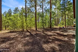 2964 Timber Line Rd, Pinetop, AZ 85935 - Photo 24