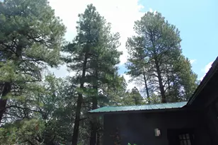 2878 Pinon Pine Dr, Show Low, AZ 85901 - Photo 36