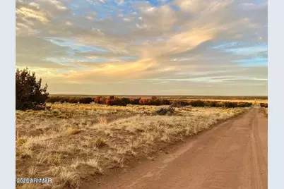 Woodland Valley Ranch Lot 902 -- #-, Saint Johns, AZ 85936 - Photo 8