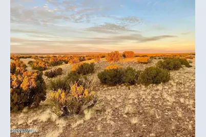 Woodland Valley Ranch Lot 902 -- #-, Saint Johns, AZ 85936 - Photo 14