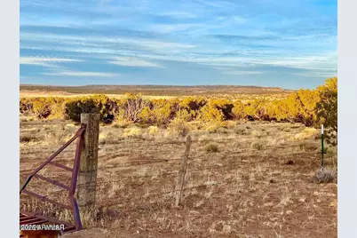 Woodland Valley Ranch Lot 902 -- #-, Saint Johns, AZ 85936 - Photo 12