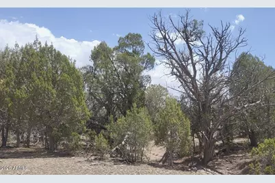 67 Ranch Road #67, Williams, AZ 86046 - Photo 8