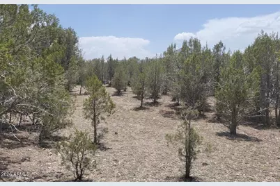 67 Ranch Road #67, Williams, AZ 86046 - Photo 2