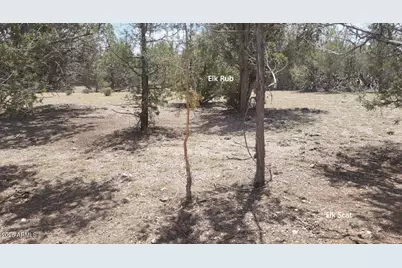 67 Ranch Road #67, Williams, AZ 86046 - Photo 10