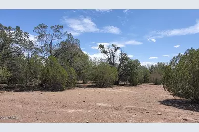 160B Cattle Drive #160, Williams, AZ 86046 - Photo 10