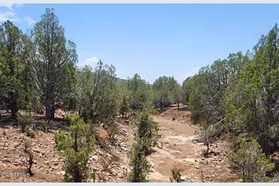 160B Cattle Drive #160, Williams, AZ 86046 - Photo 12