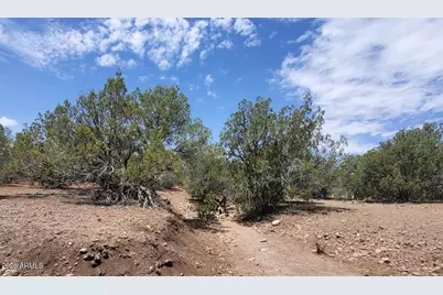 160B Cattle Drive #160, Williams, AZ 86046 - Photo 8