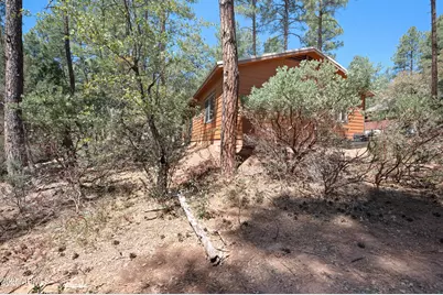 3685 N Cochise Lane, Pine, AZ 85544 - Photo 4