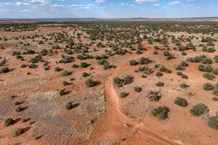 76 County Road N5552 --, Concho, AZ 85924 - Photo 22