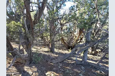 918 Wolf Road #918, Ash Fork, AZ 86320 - Photo 8