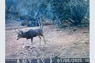 918 Wolf Road #918, Ash Fork, AZ 86320 - Photo 16
