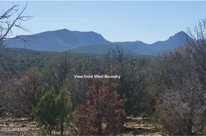 918 Wolf Road #918, Ash Fork, AZ 86320 - Photo 10