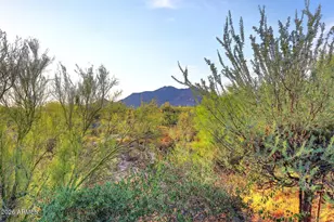 7228 E Crimson Sky Trail, Scottsdale, AZ 85266 - Photo 32