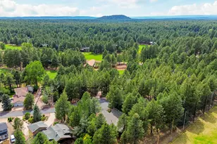 3163 Viking Trail, Pinetop, AZ 85935 - Photo 48