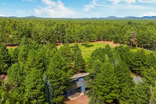 3163 Viking Trail, Pinetop, AZ 85935 - Photo 46