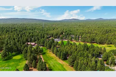 3163 Viking Trail, Pinetop, AZ 85935 - Photo 50